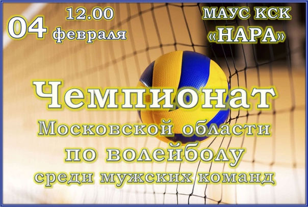 Чемпионат Московской области по волейболу! Болеем за команду нашего города!